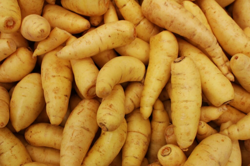 A pile of fresh yellow parsnips